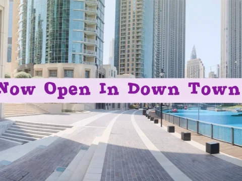 The Different Types of Nurseries in Your Area